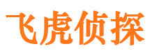 柳林市调查公司